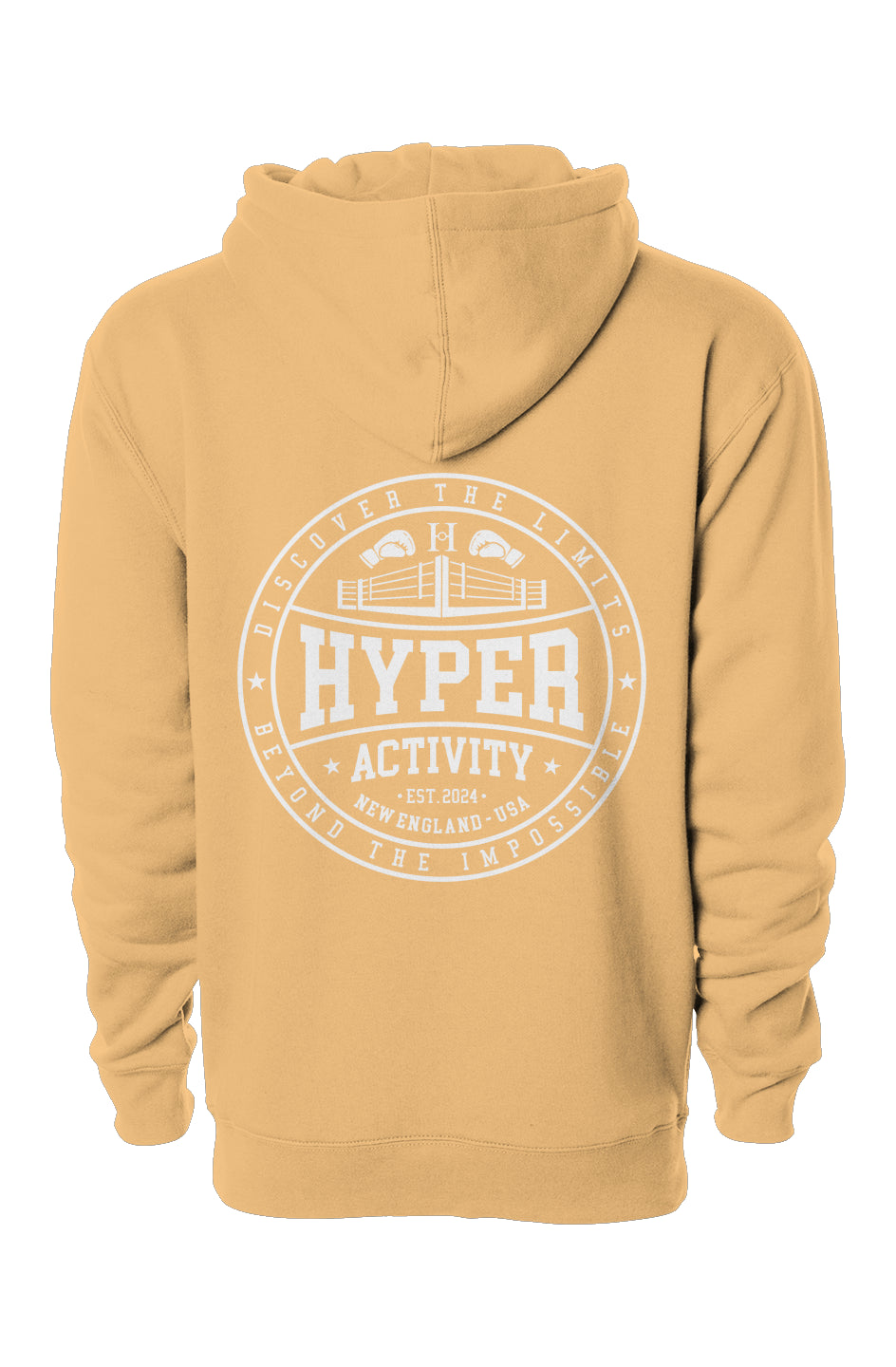 Established Hoodie