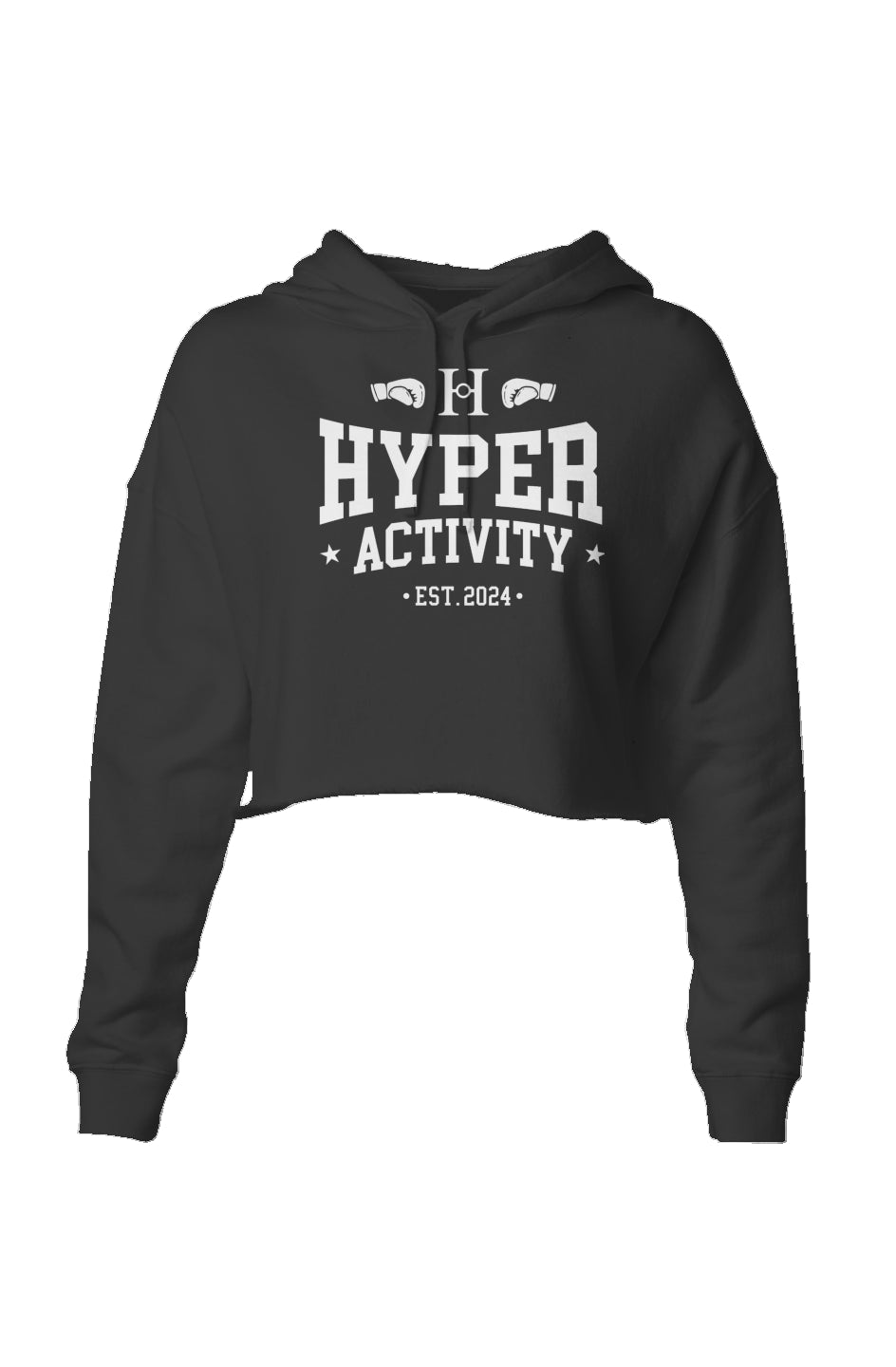 Established Cropped Hoodie