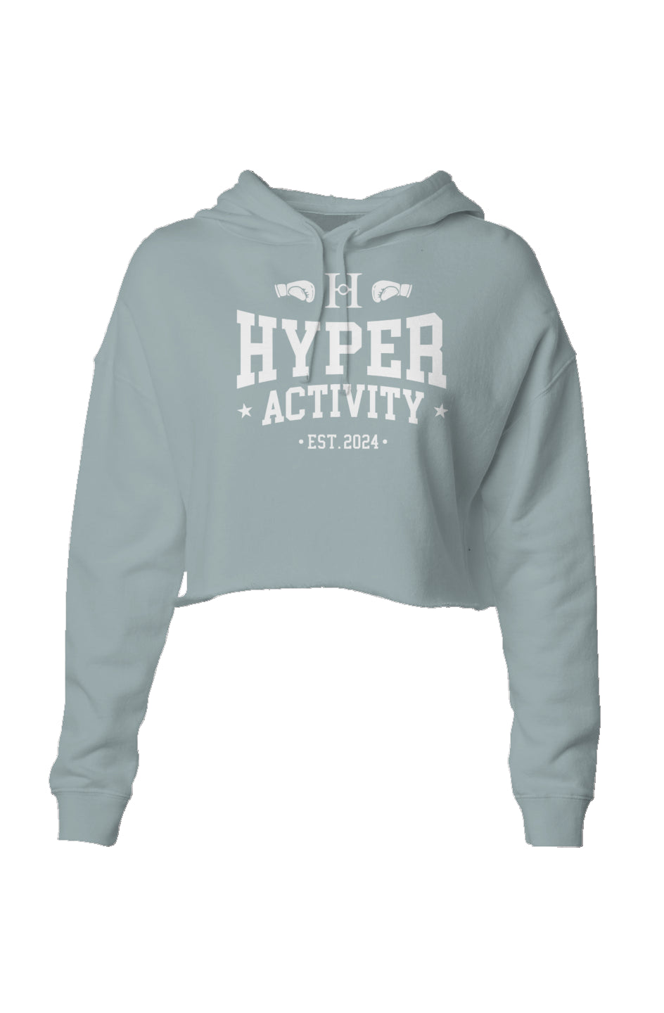Established Cropped Hoodie