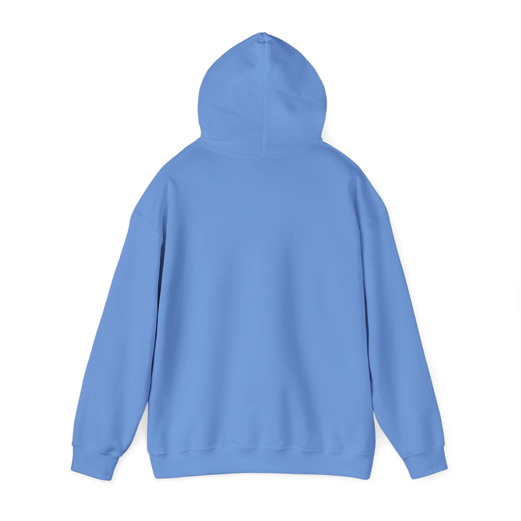 Established Hoodie