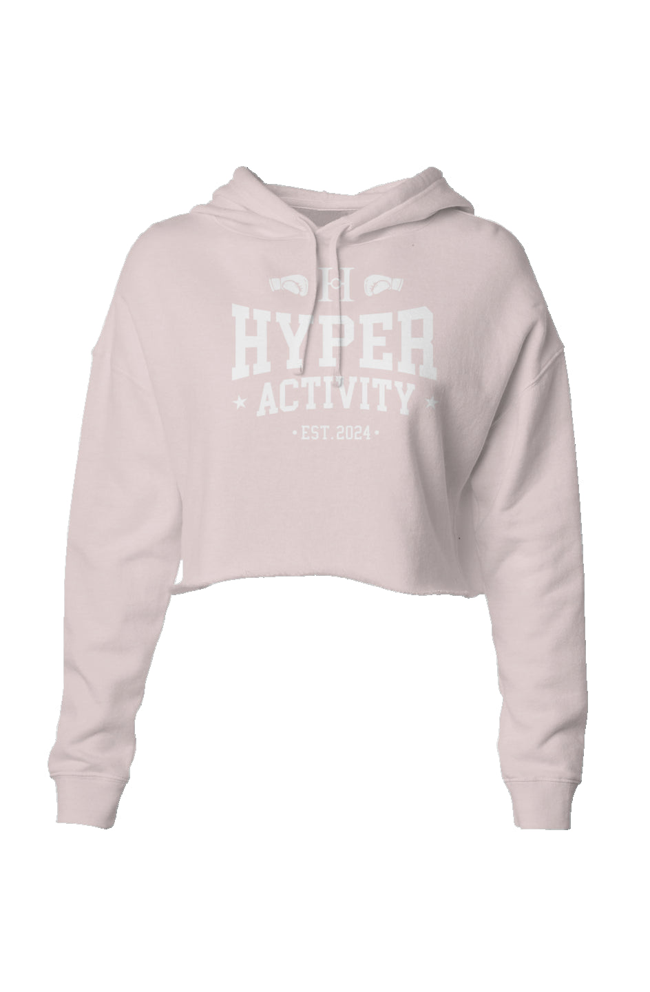 Established Cropped Hoodie
